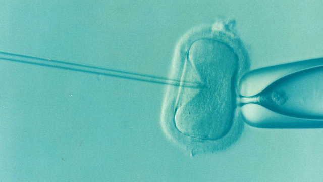 河池输卵管切除试管婴儿可以选择性别吗